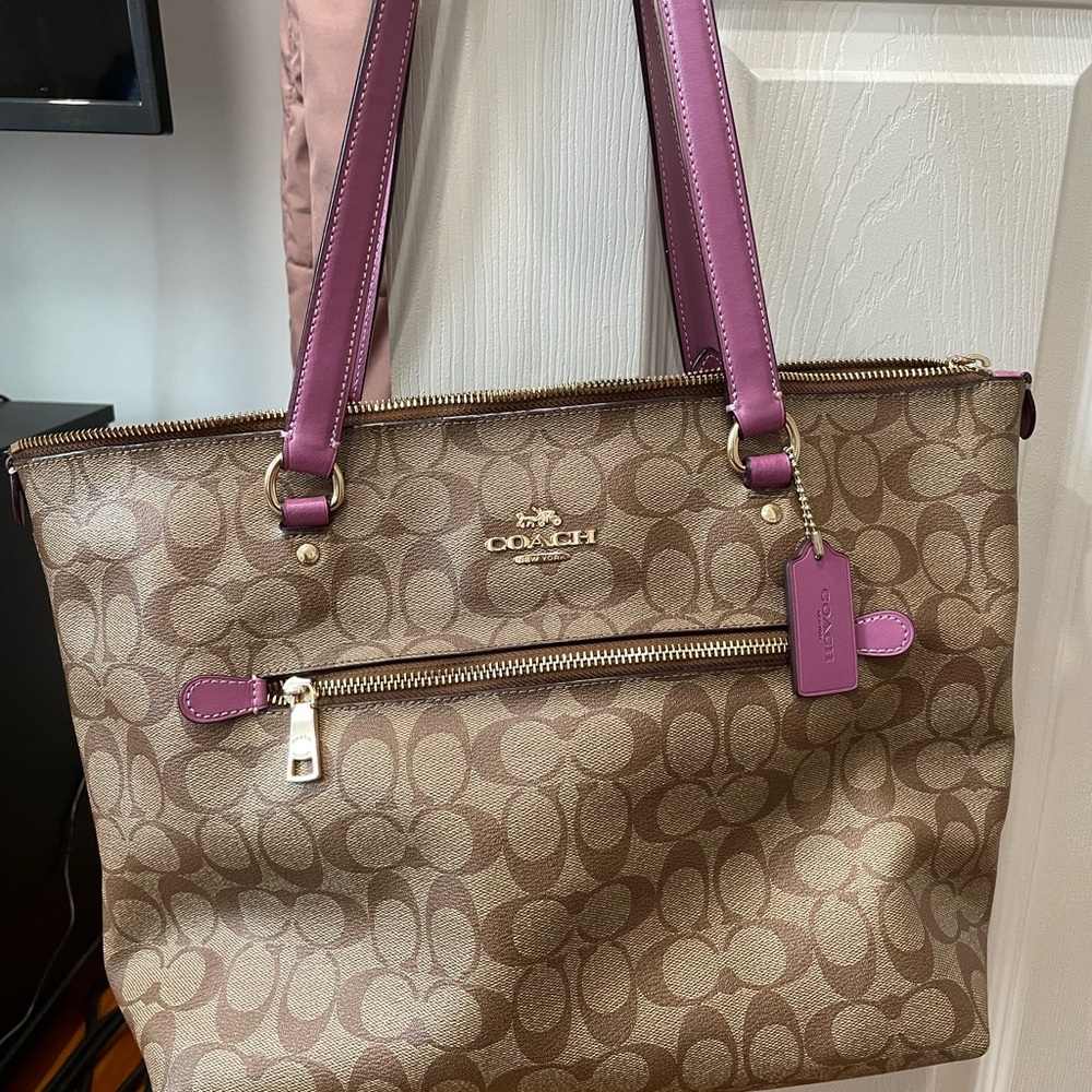 Coach Brown and Purple Women's Bag